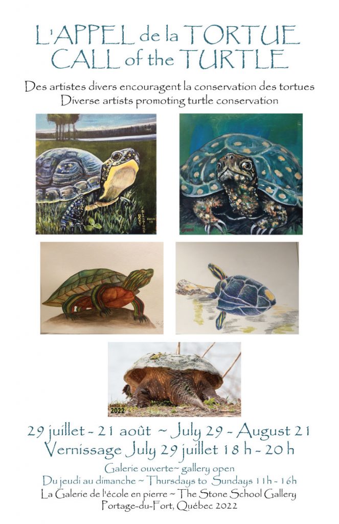 Poster for Call of the T
urtle exhibition at Stone School Gallery July 29-August 21, 2022